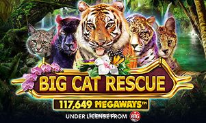 Big Cat Rescue Megaways - Jogue no 9d bet